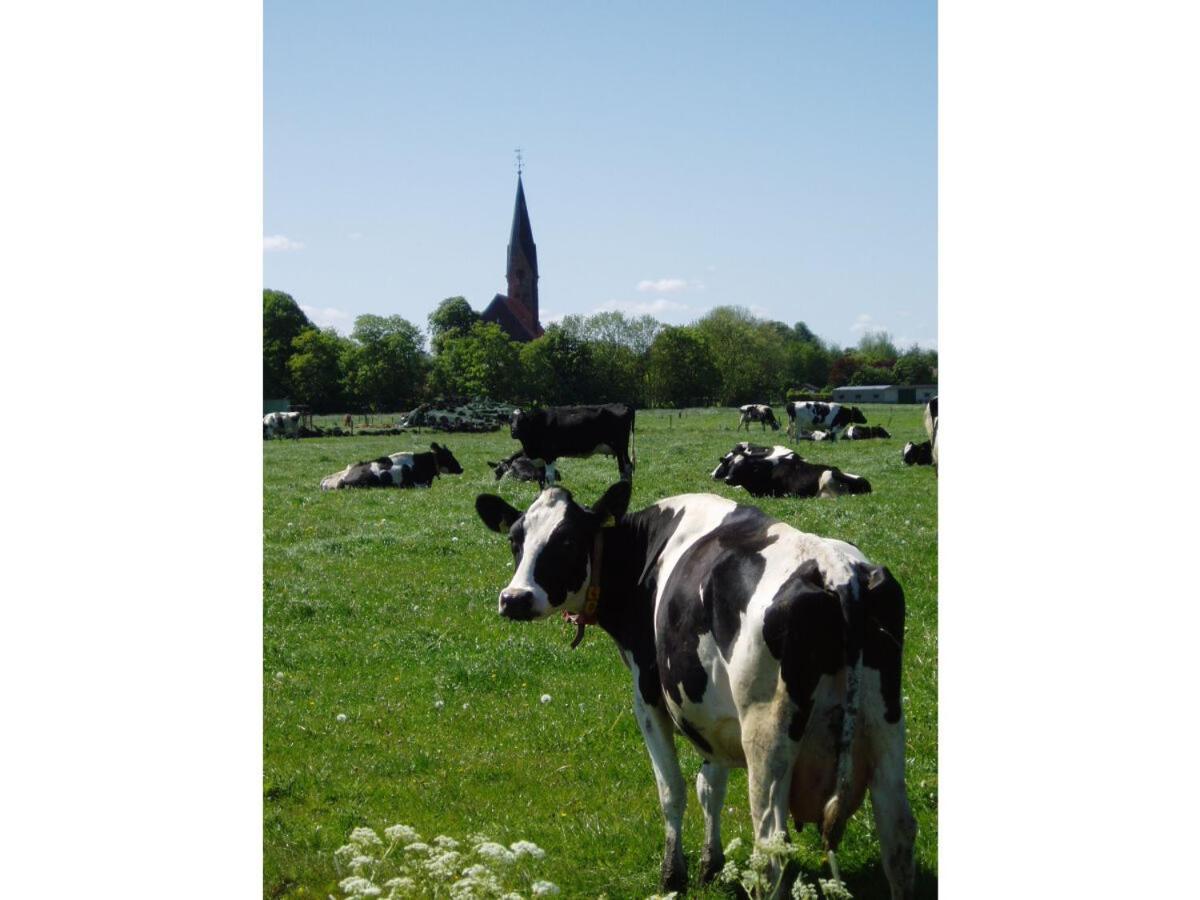 Ferienwohnung Hein Am Nordseedeich Butjadingen Exterior foto