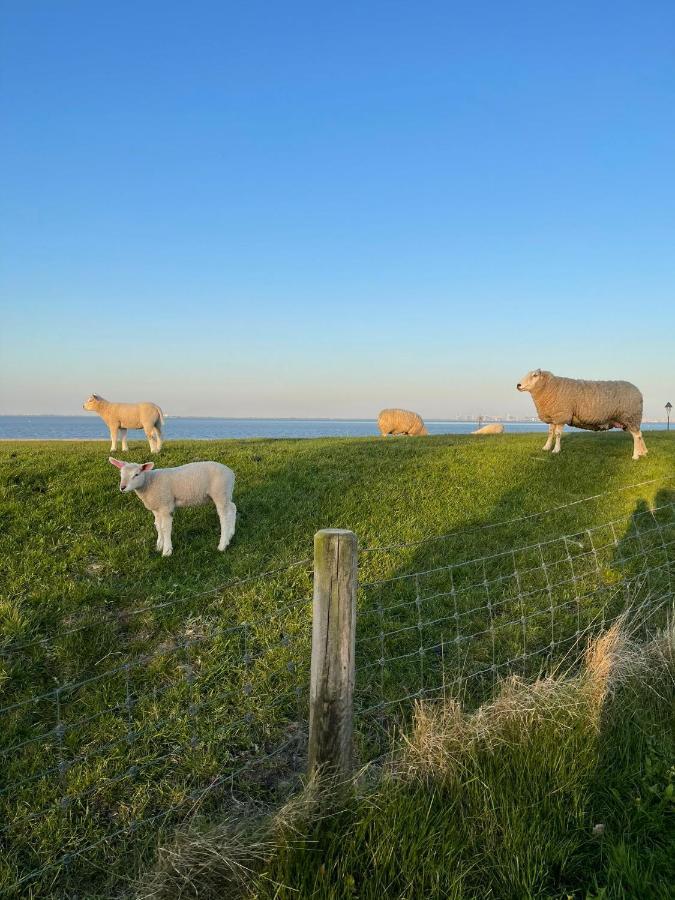 Ferienwohnung Hein Am Nordseedeich Butjadingen Exterior foto