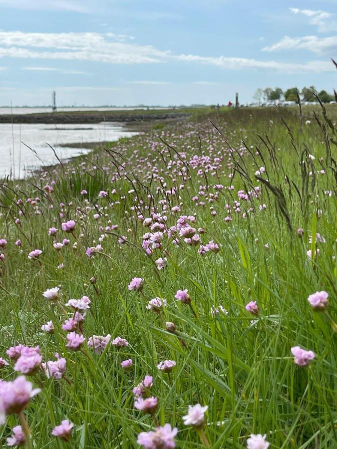 Ferienwohnung Hein Am Nordseedeich Butjadingen Exterior foto